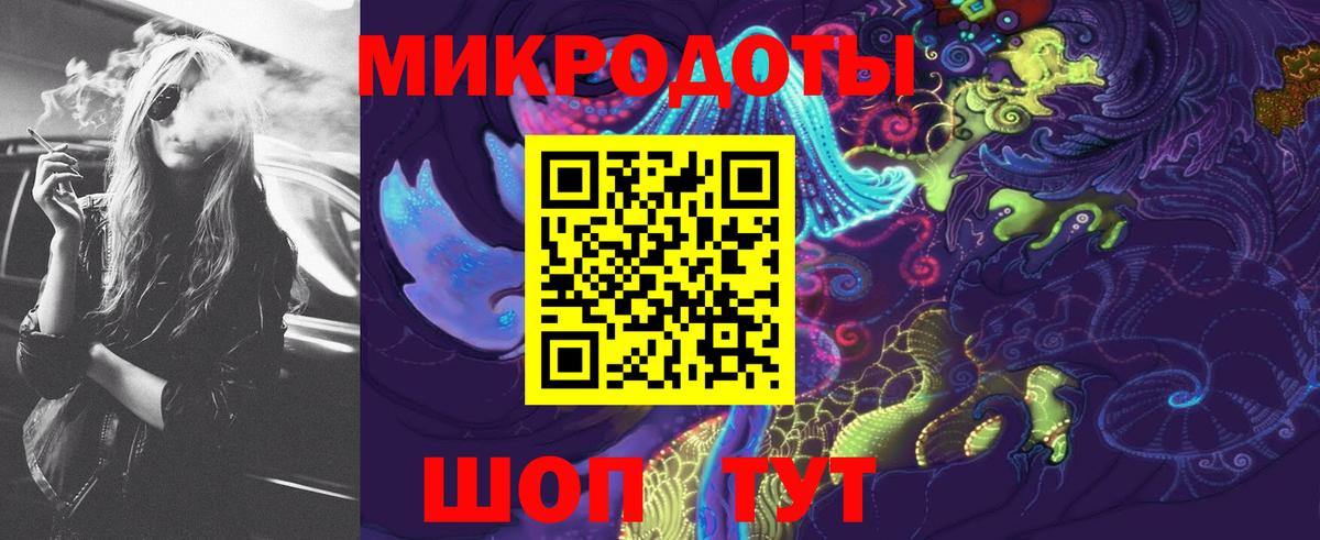 Галлюциногенные грибы Psilocybe Дивногорск